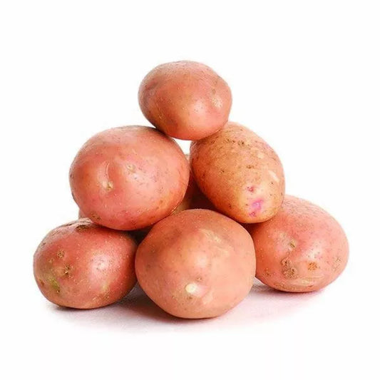 PAPA
