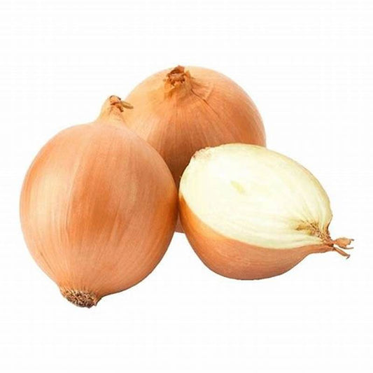 CEBOLLA  BLANCA UND