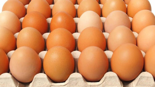 Huevos JUMBO 30 und