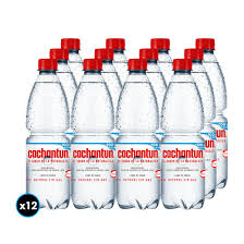 cachantun 600  ml sin gas 12 und