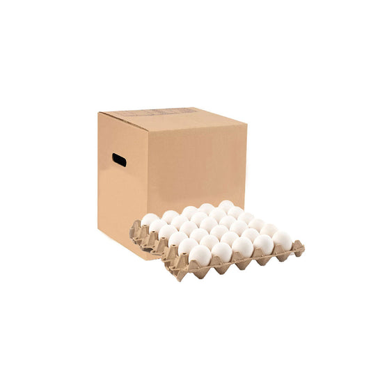 CAJA DE HUEVOS 180 UND