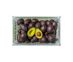 Palta hass cajon 10 kg