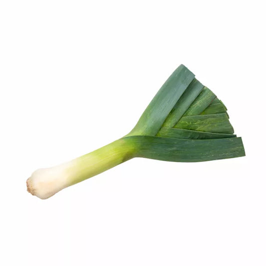 Puerro