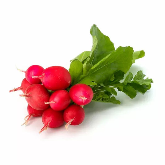 Rabanitos
