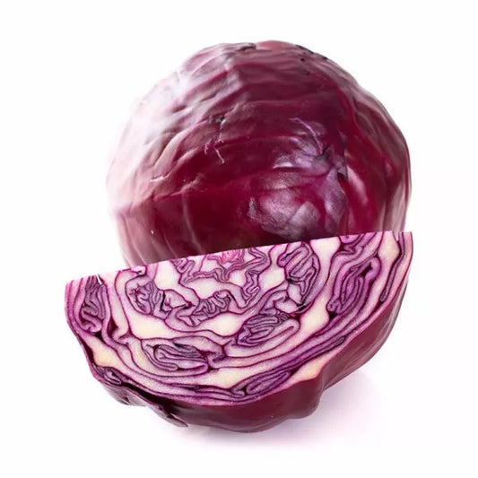 Repollo morado