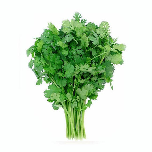 Cilantro 250gr