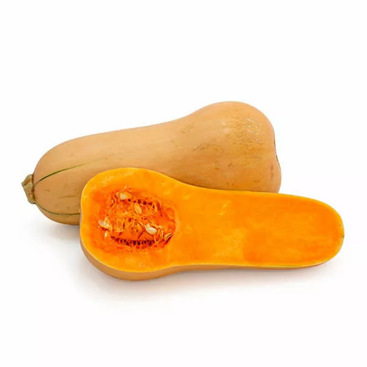 Zapallo butternut